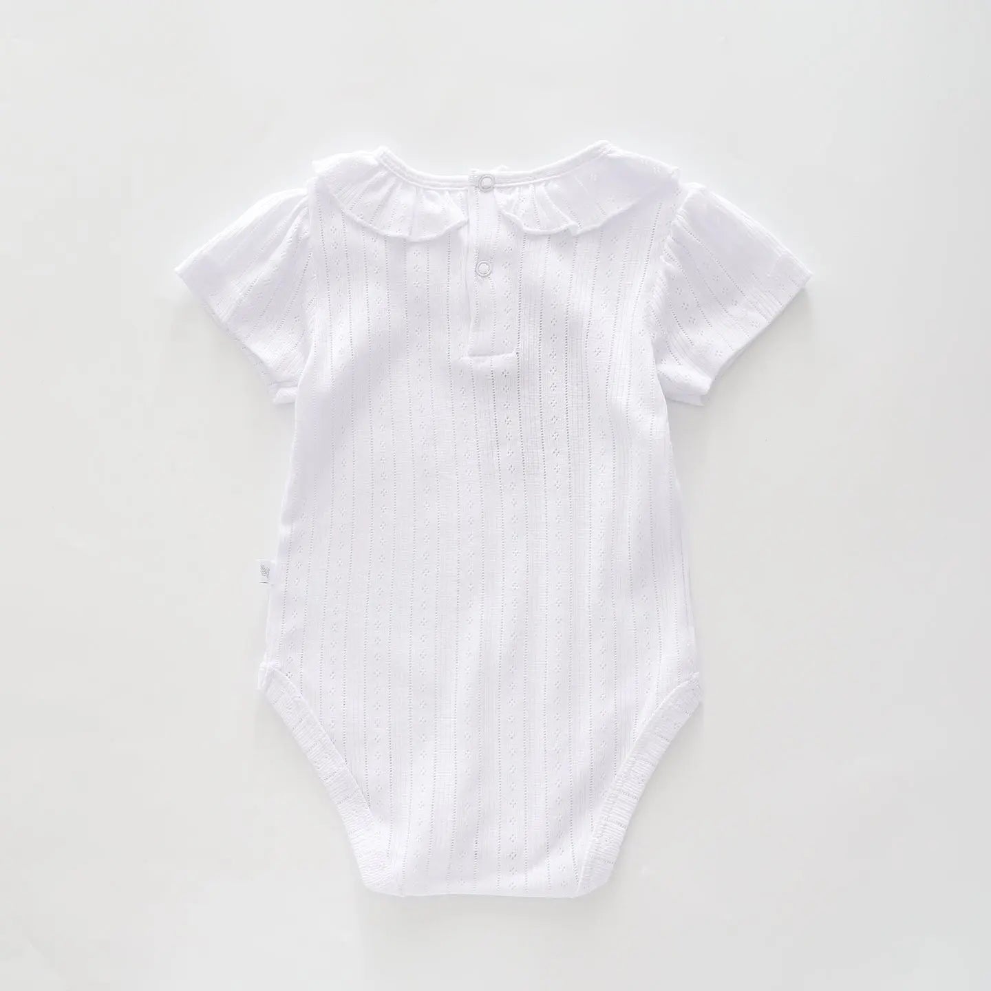 Baby Girls Pointelle Bodysuit Ollies Place