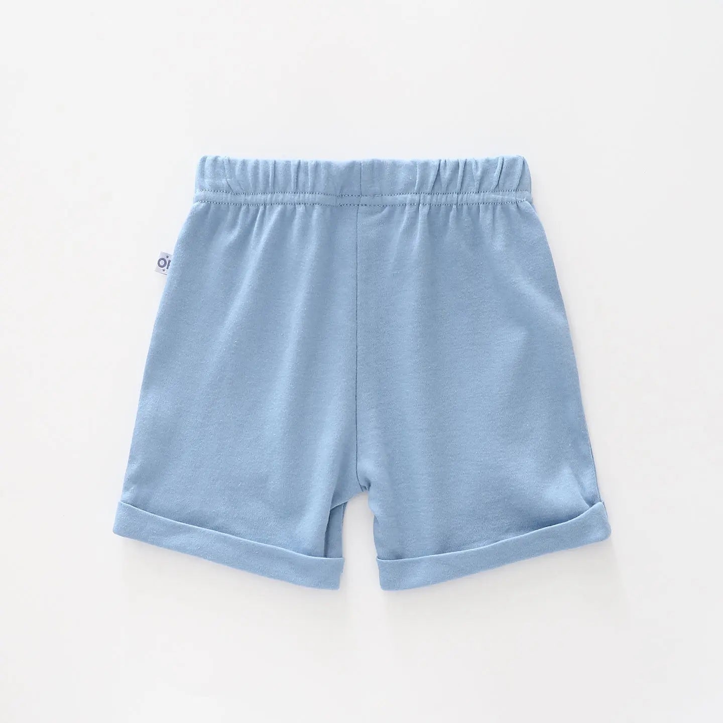Blue Casual Shorts Ollies Place