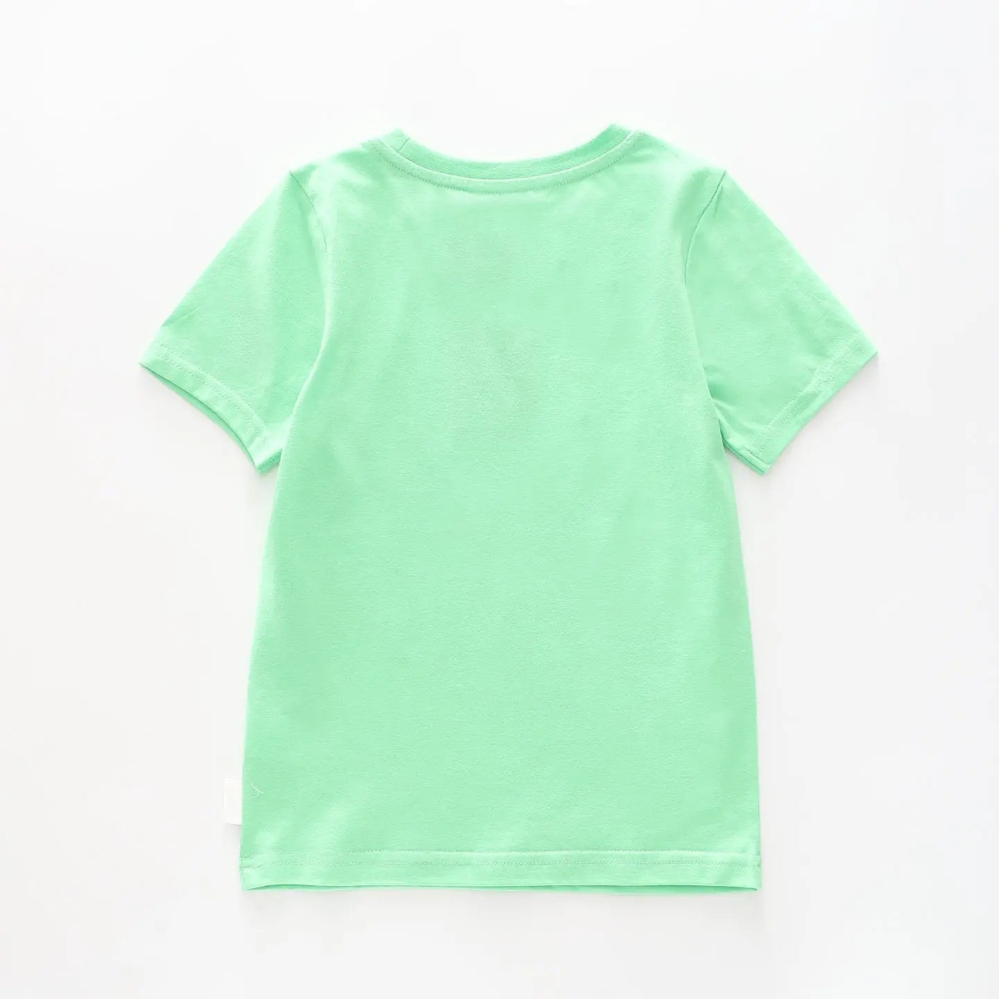 Boy's Green T-shirt With T-Rex Dinosaur Print Ollies Place