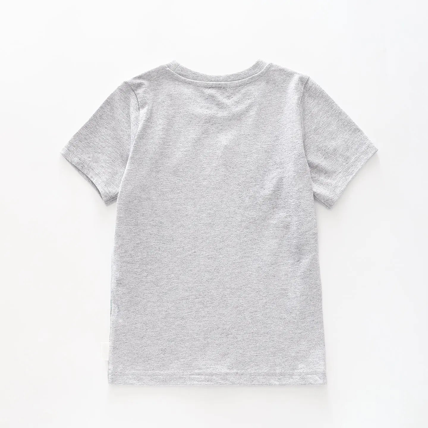 Boy's Grey T-shirt With Dinosaur Print Ollies Place