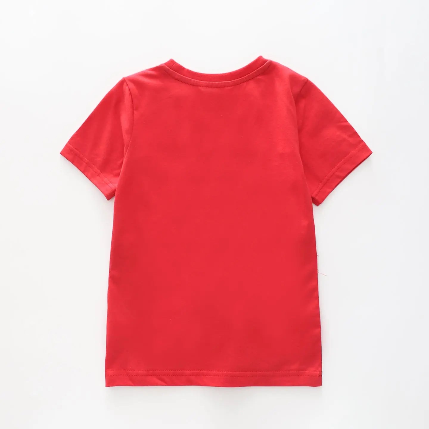 Boy's Navy Blue and Red Large Stripe T-Shirt Ollies Place