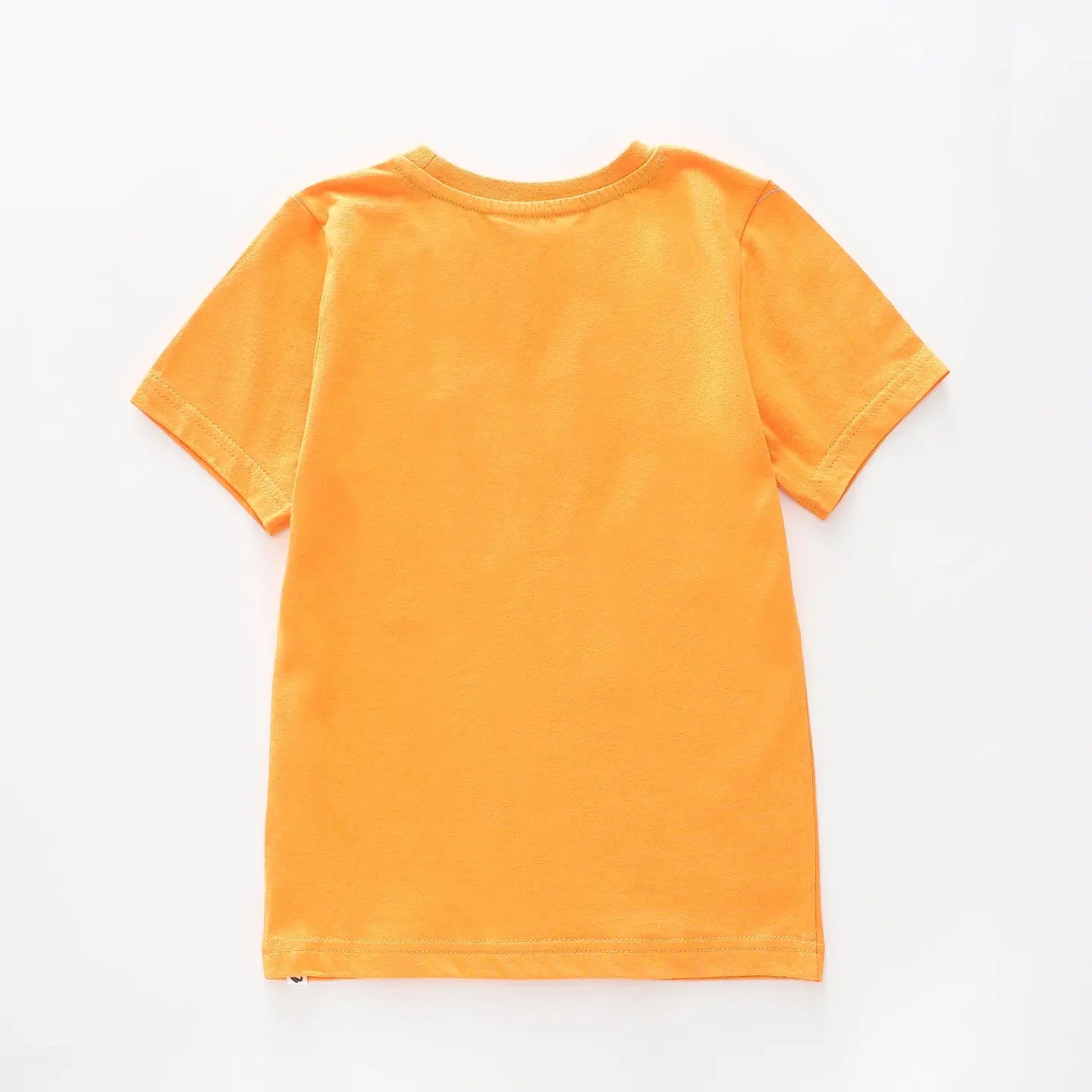 Boy's Orange T-shirt With Dinosaur infographic Print Ollies Place