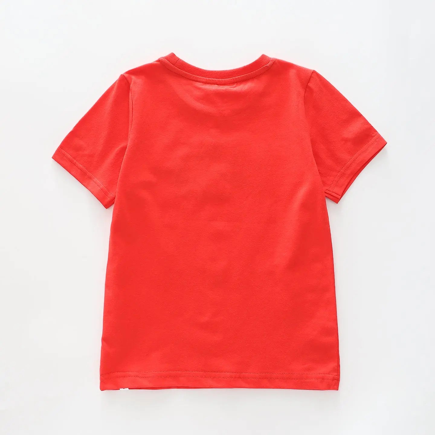 Boy's Red T-shirt With 'Big Brother' Print Ollies Place