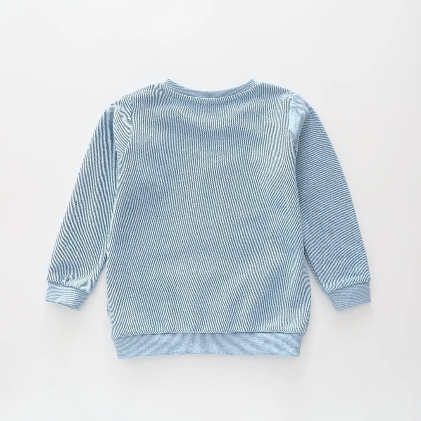 Daddy's Lil Adventurer Sweat Top Ollies Place