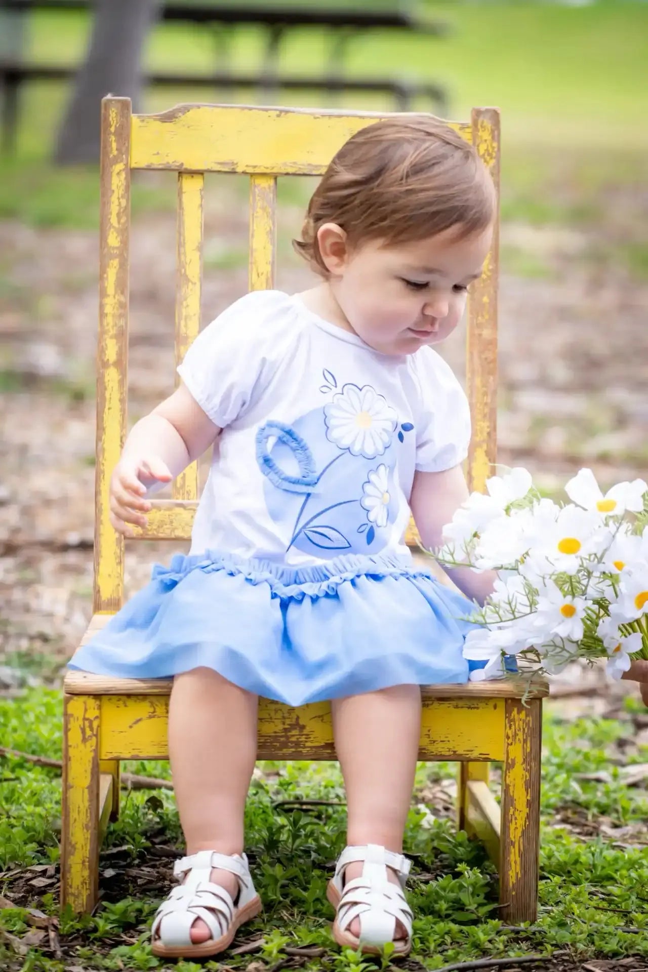 Daisy Tulle Tutu Dress Ollies Place