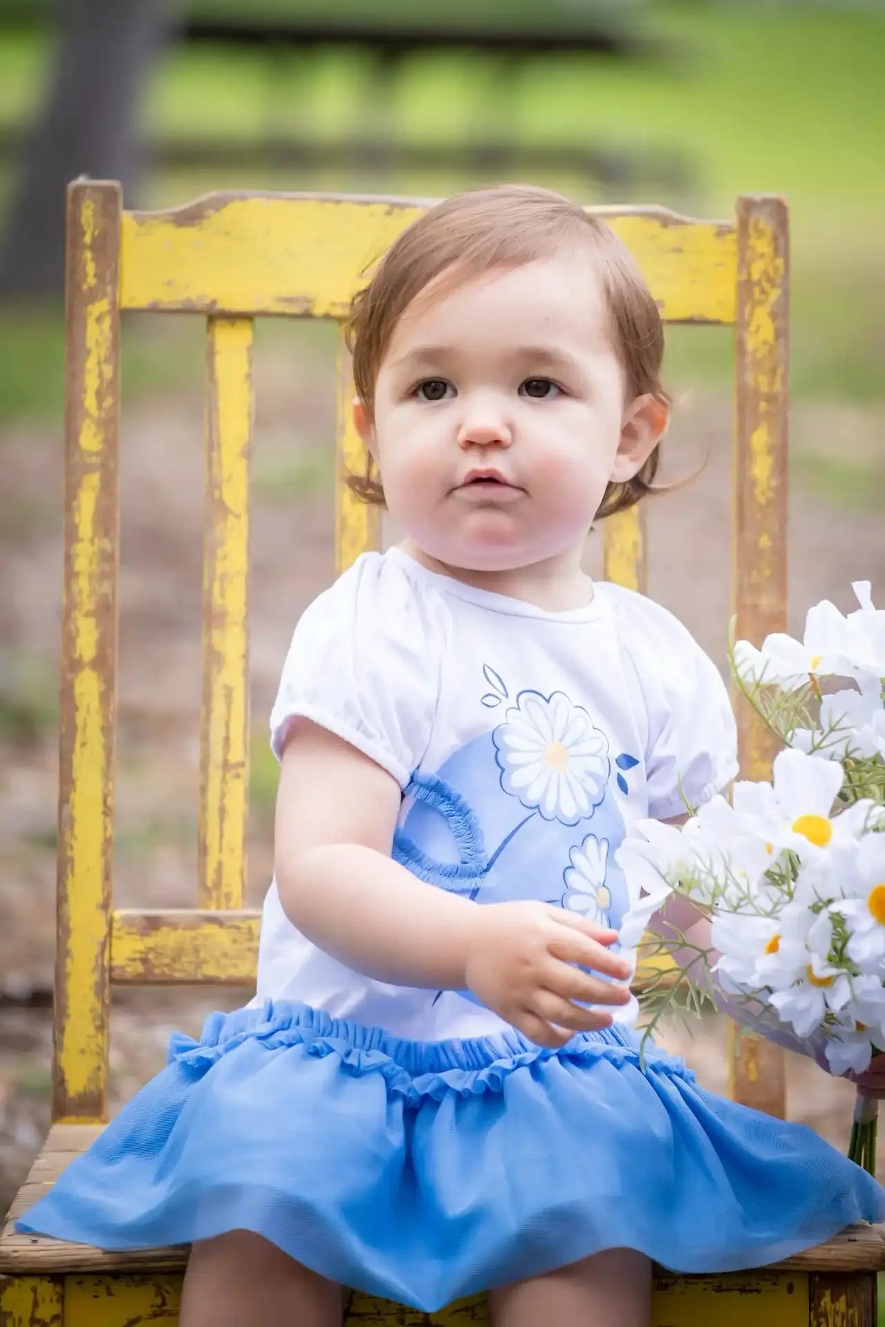 Daisy Tulle Tutu Dress Ollies Place