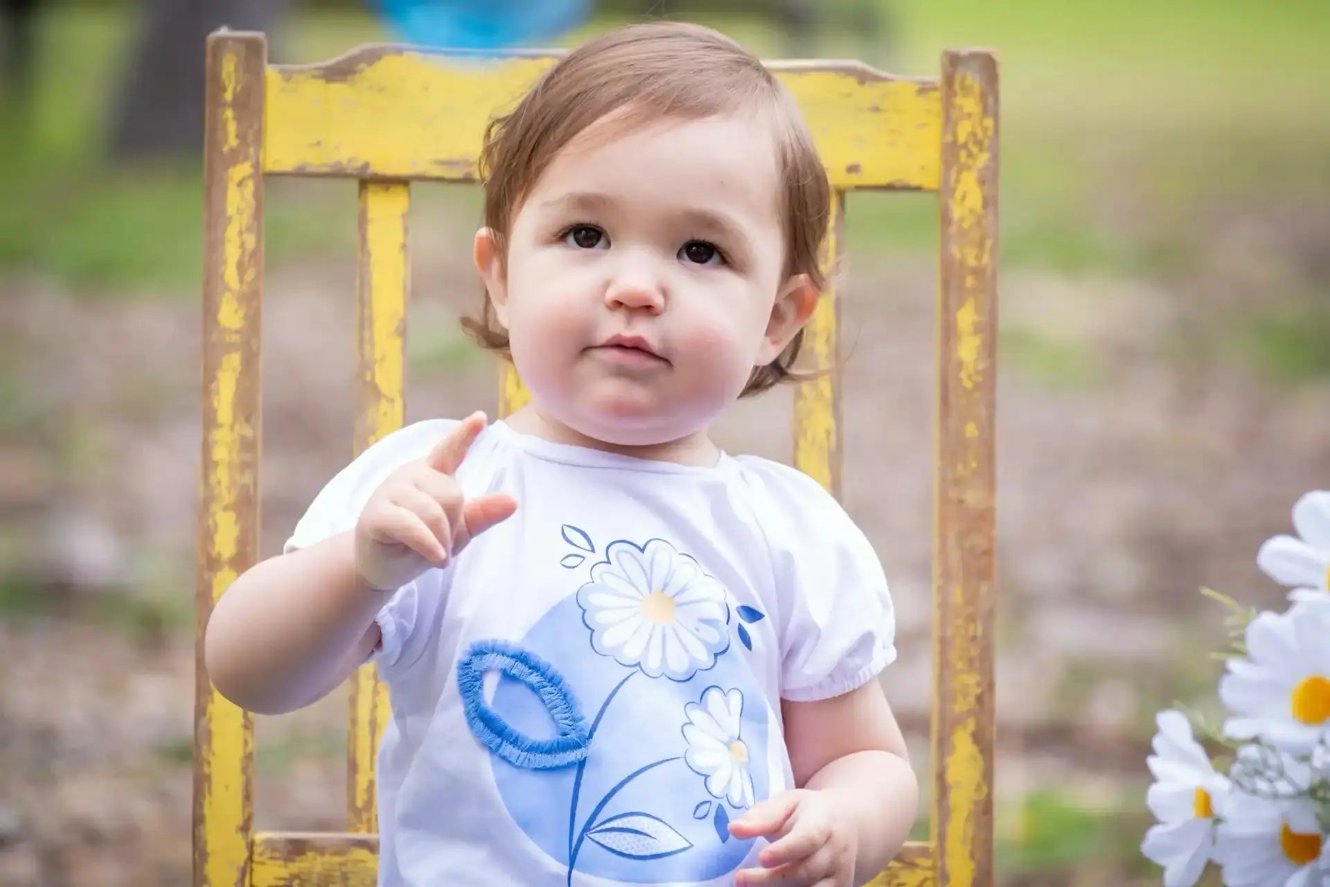 Daisy Tulle Tutu Dress Ollies Place