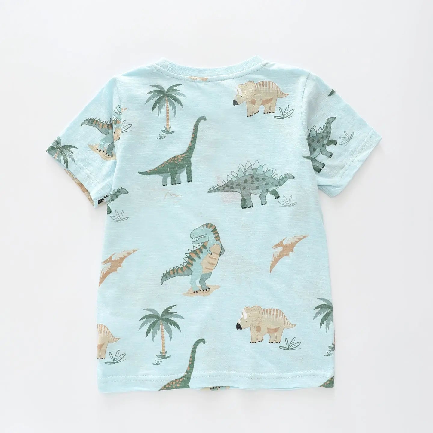 Dino Blues T-shirt Ollies Place