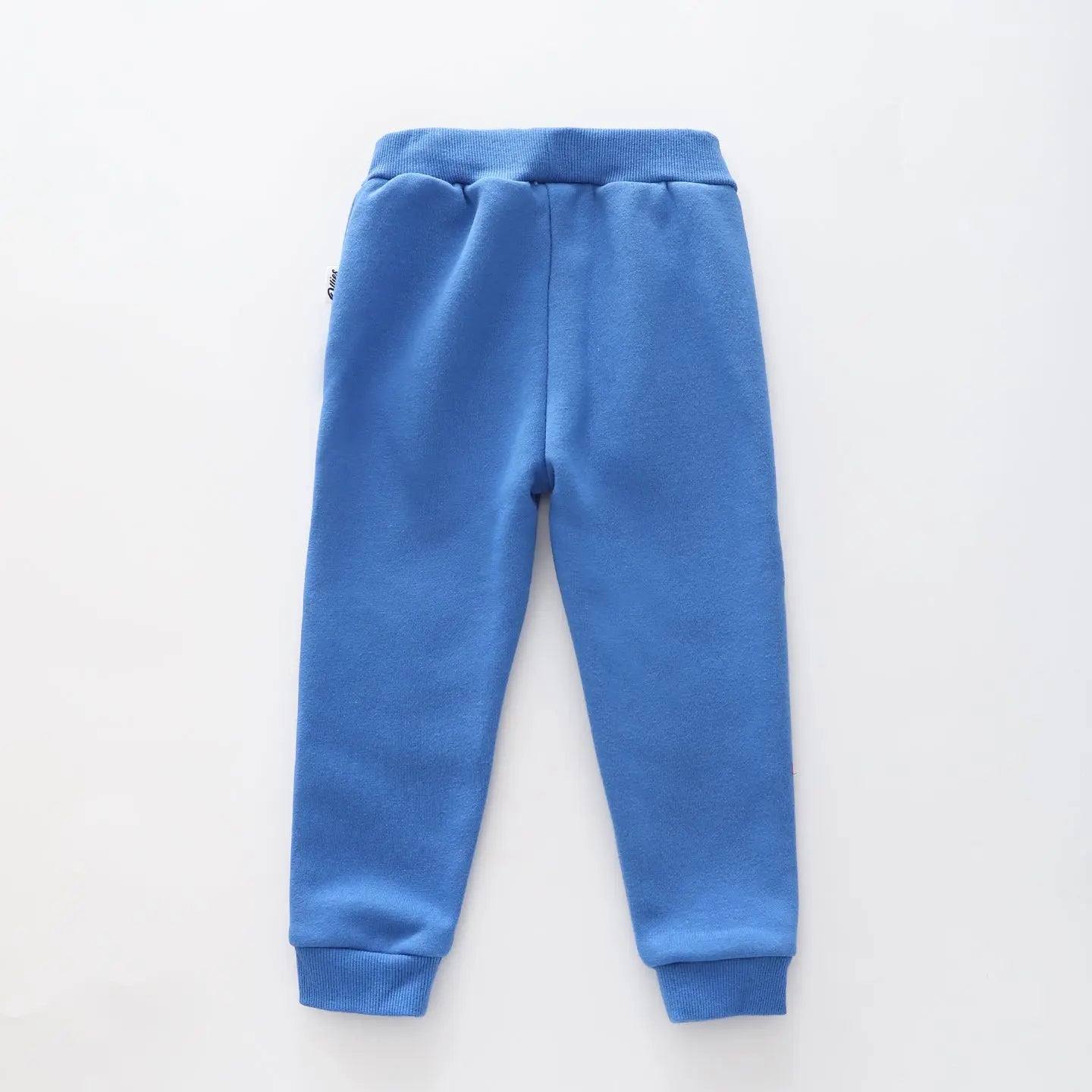 Dino Brights, Infant Boys Sweat Pants Ollies Place