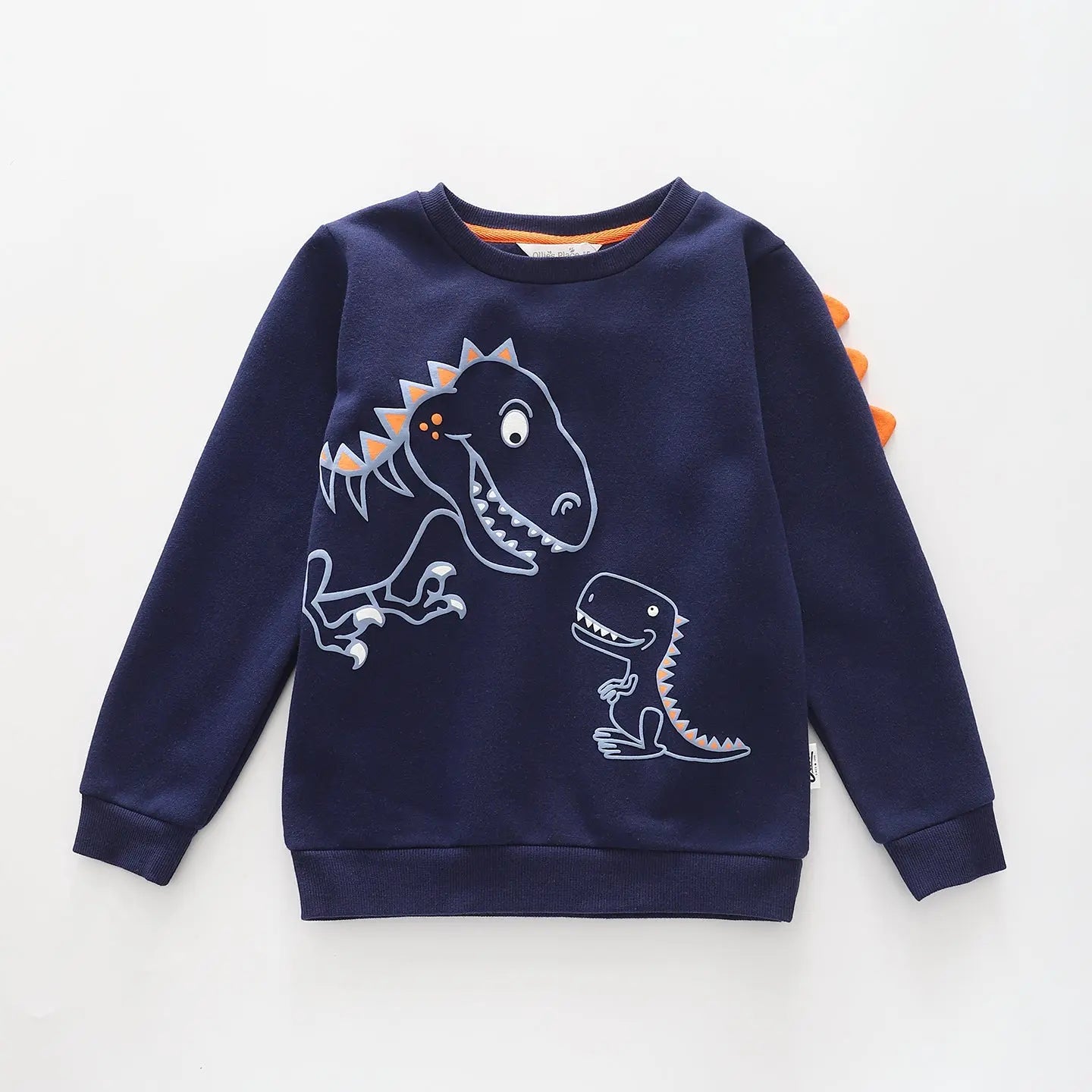 Dino Dudes, Junior Boys Sweat Top Ollies Place