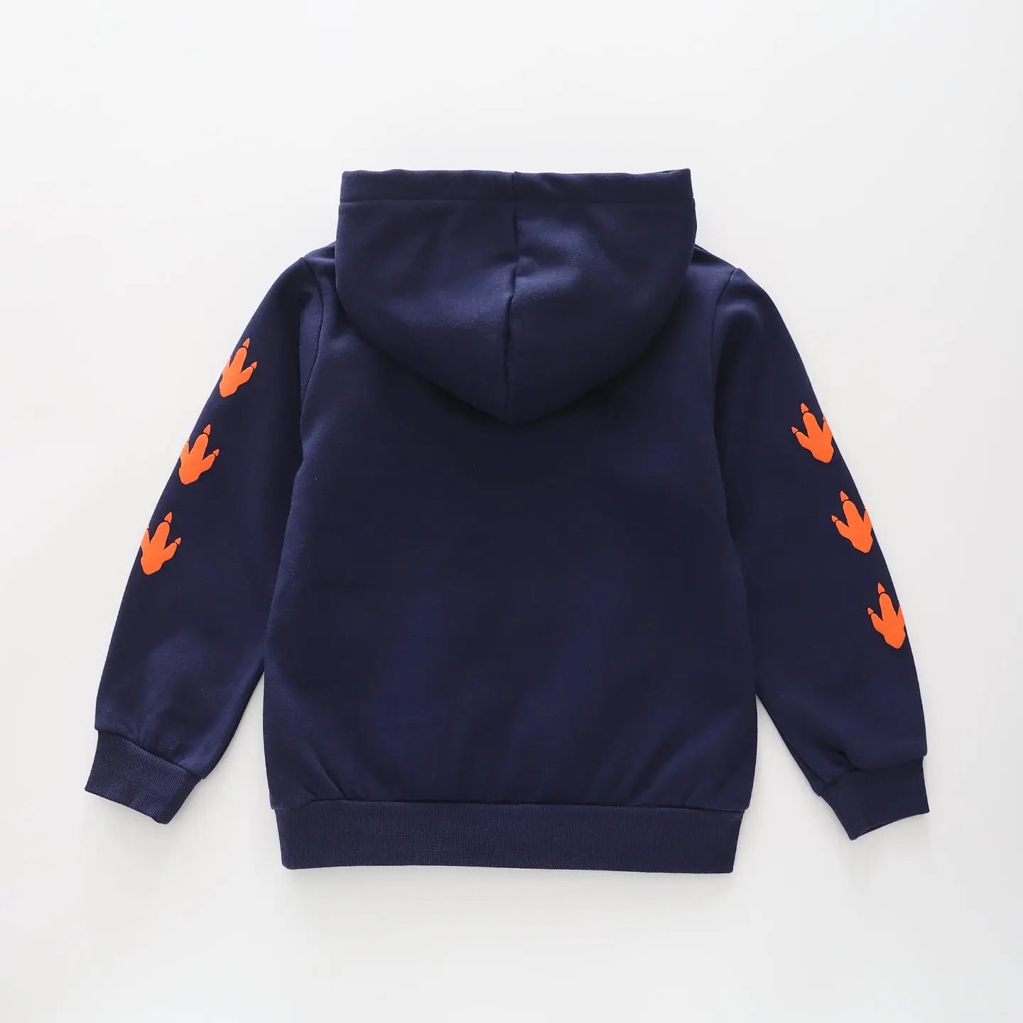 Dino Fun Facts Hoodie Ollies Place