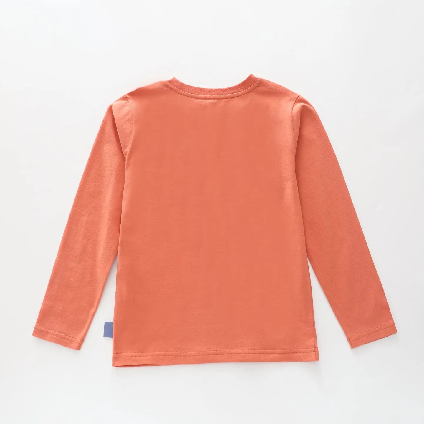 Dino Puff Print LS Tee Ollies Place