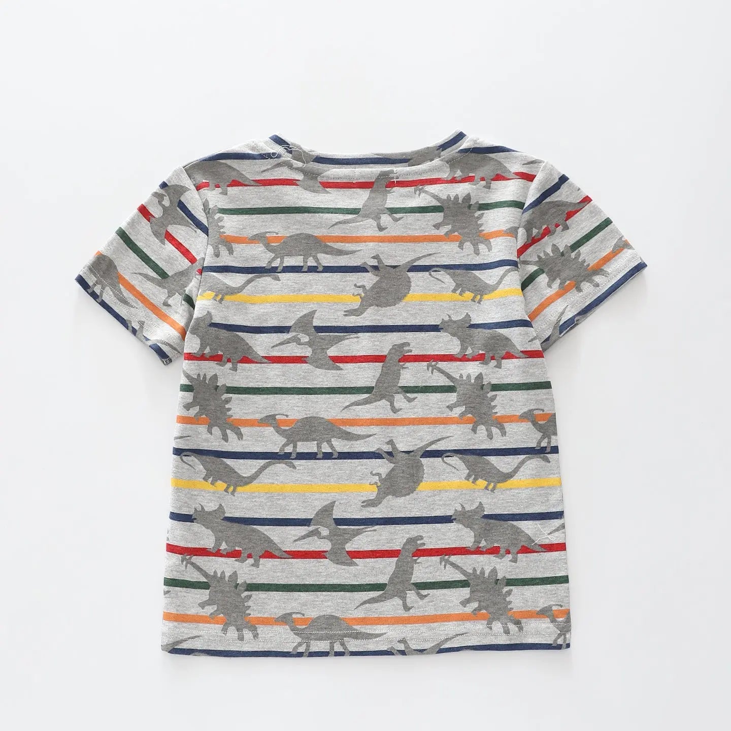 Dino Stripe T-shirt Ollies Place
