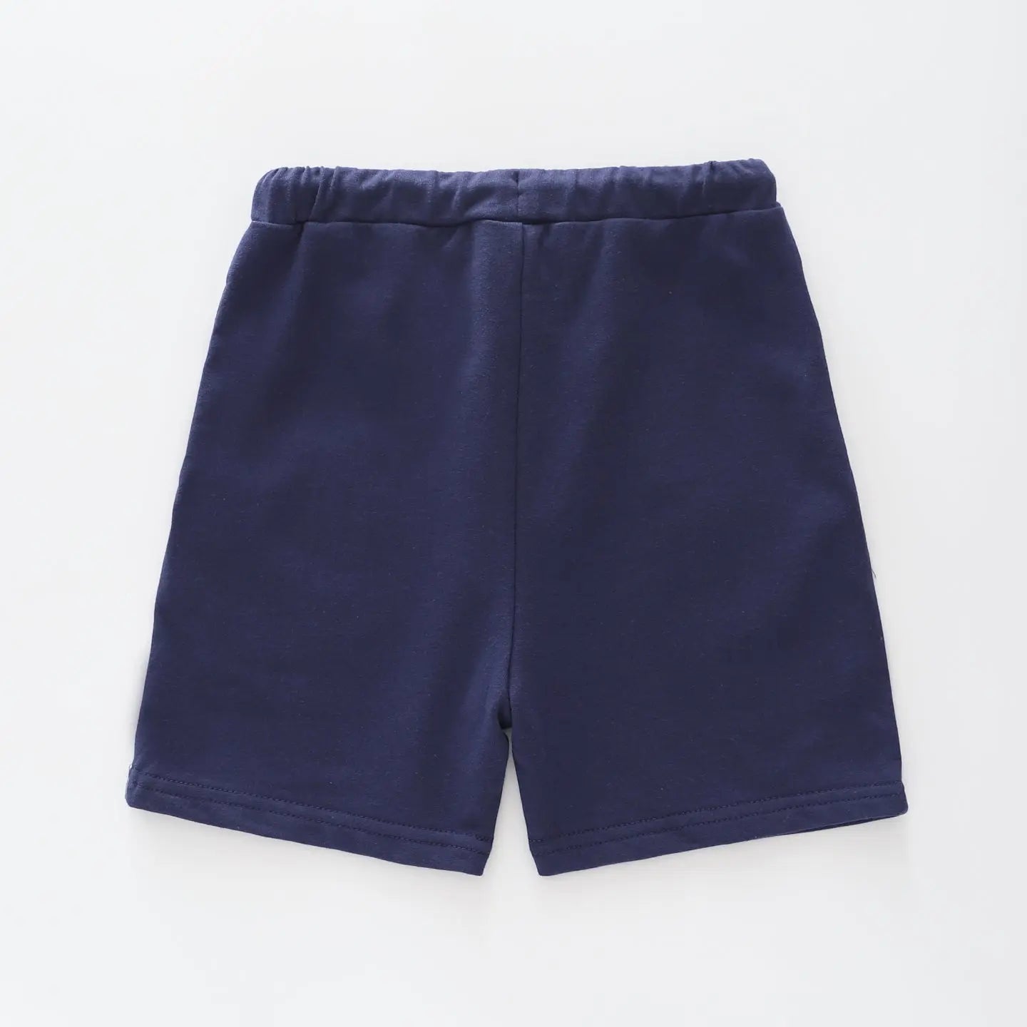 Dinosaur Shorts Ollies Place