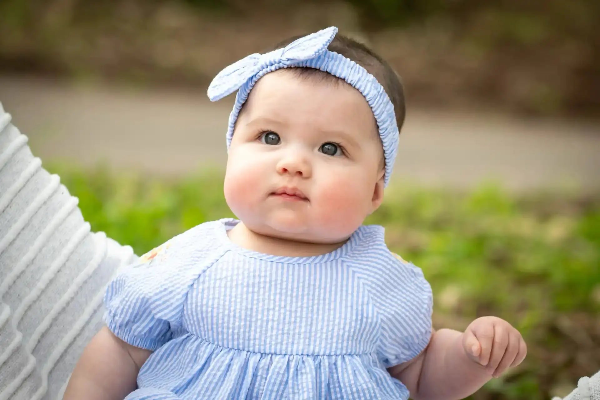 Ducky Bloomers and Dress Set Ollies Place