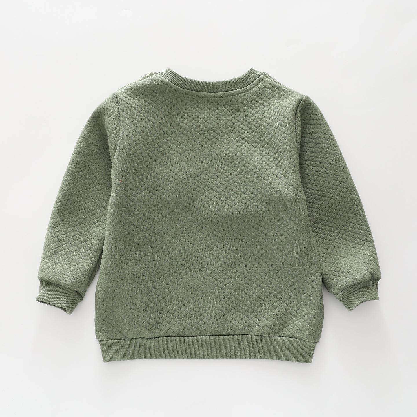 Olive Green Sweatshirt
