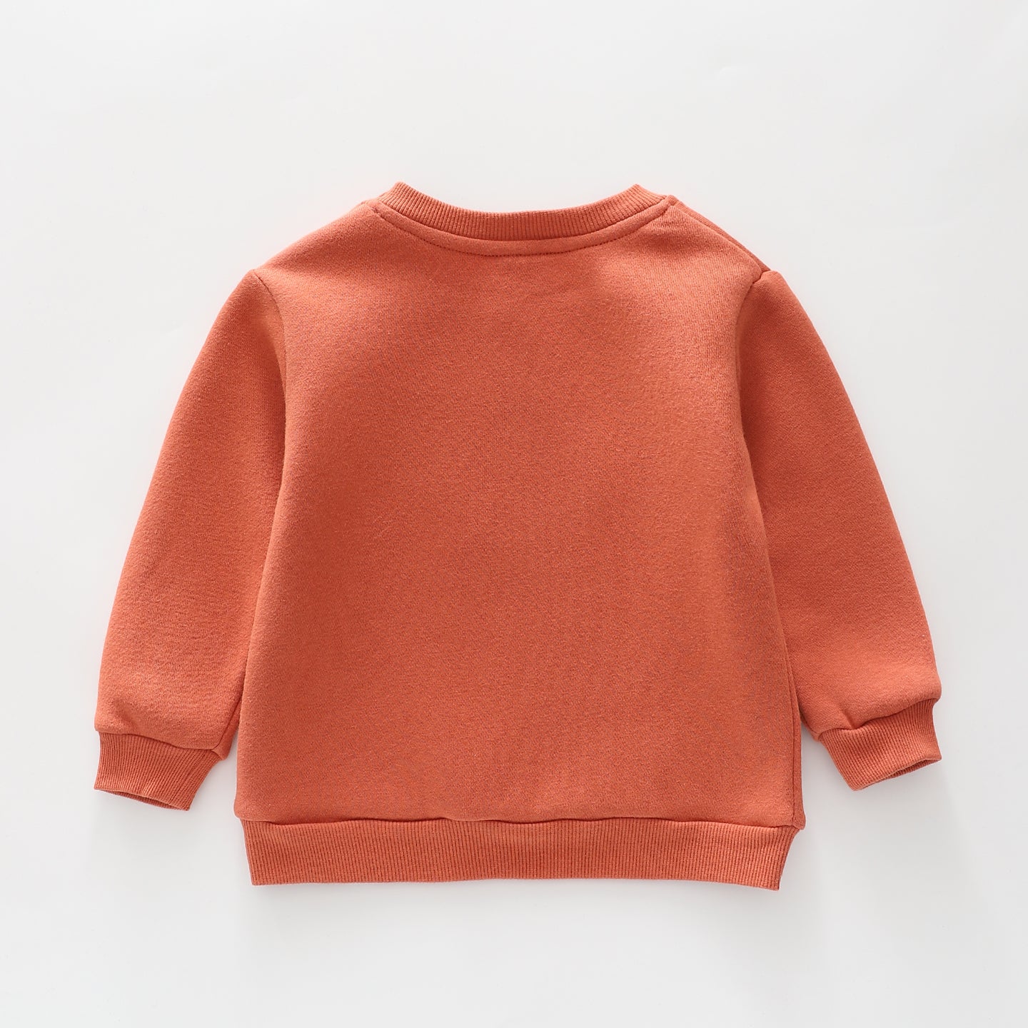 Wild Like Auntie Sweatshirt