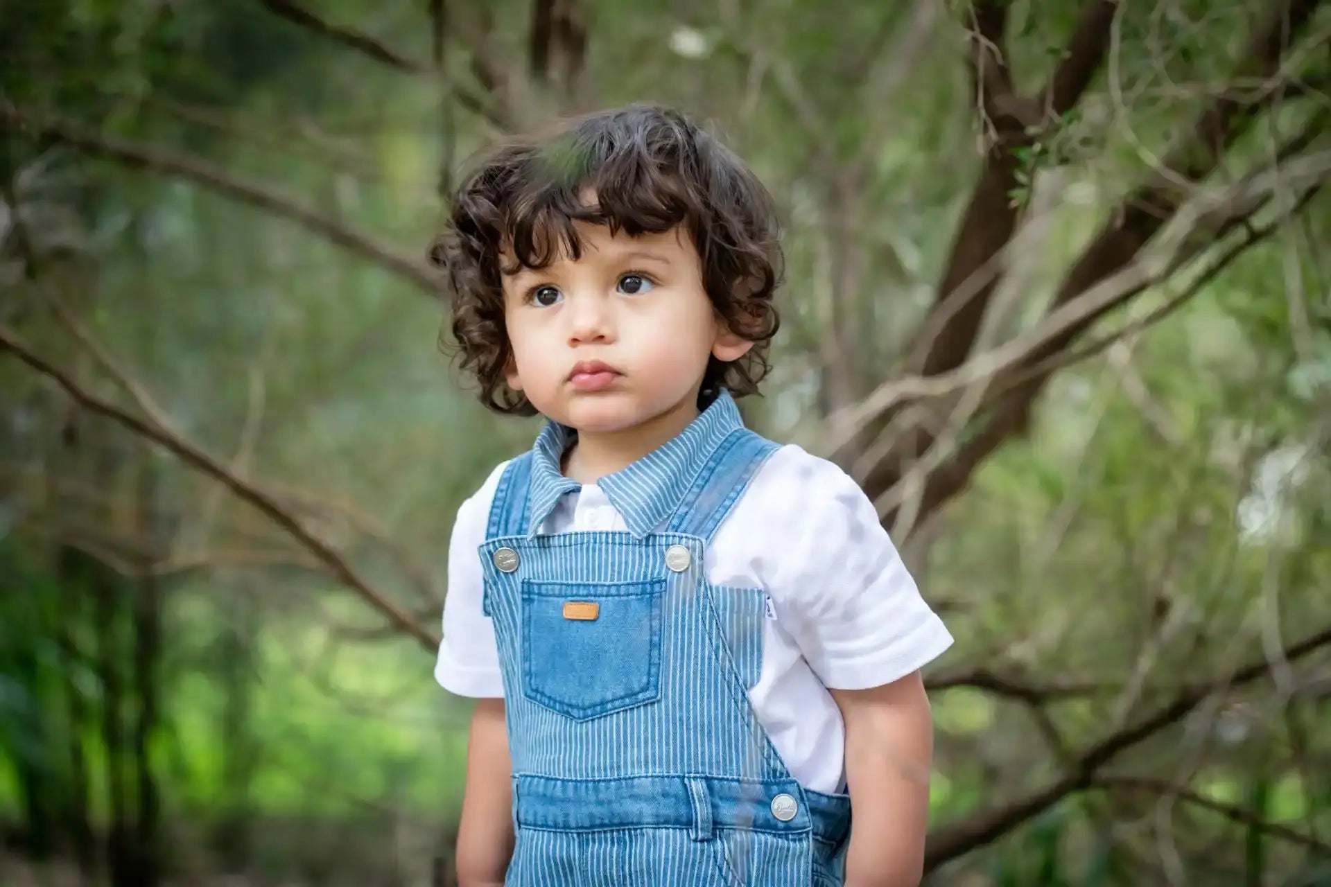Striped Denim Shortalls Ollies Place