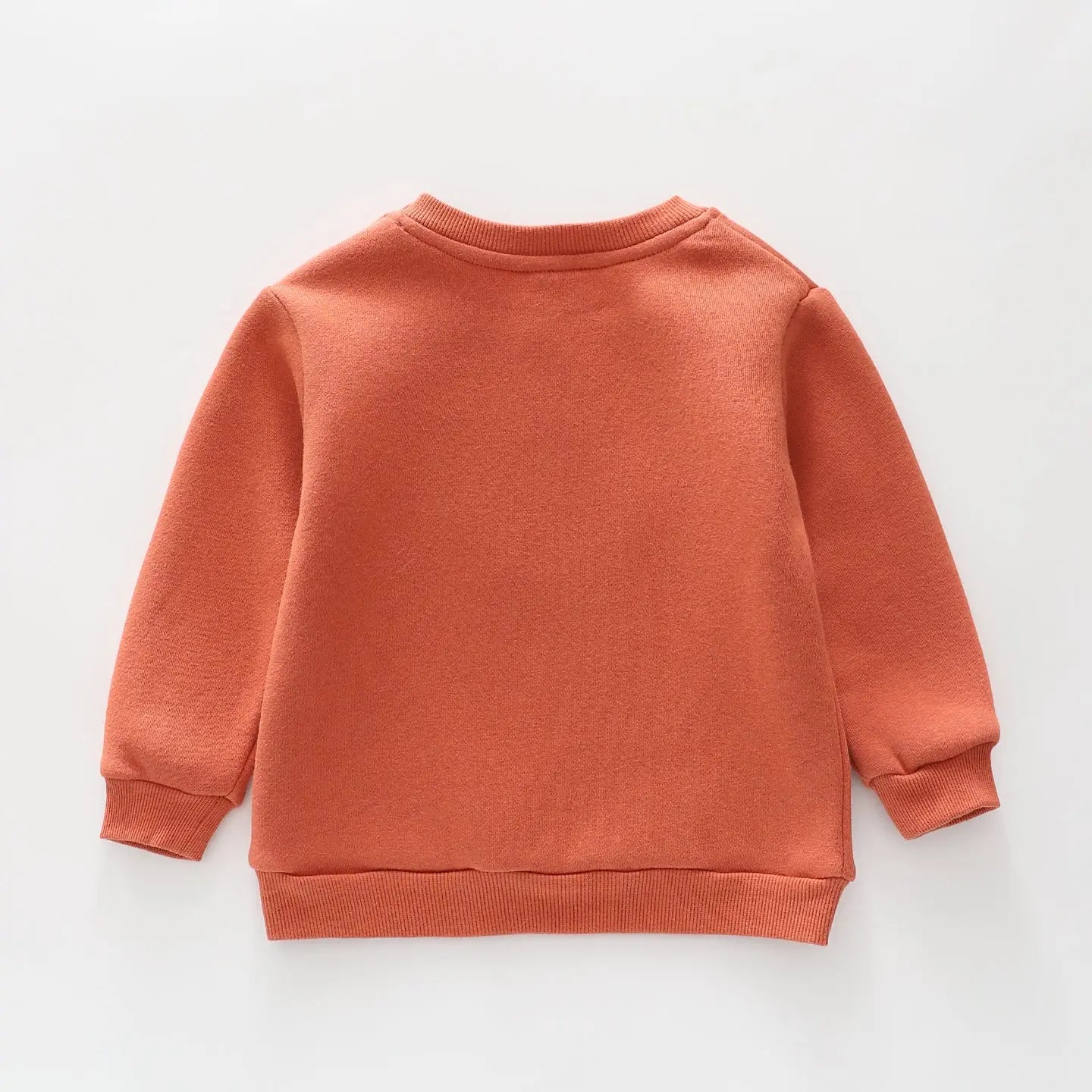 Wild Like Auntie Sweatshirt Ollies Place