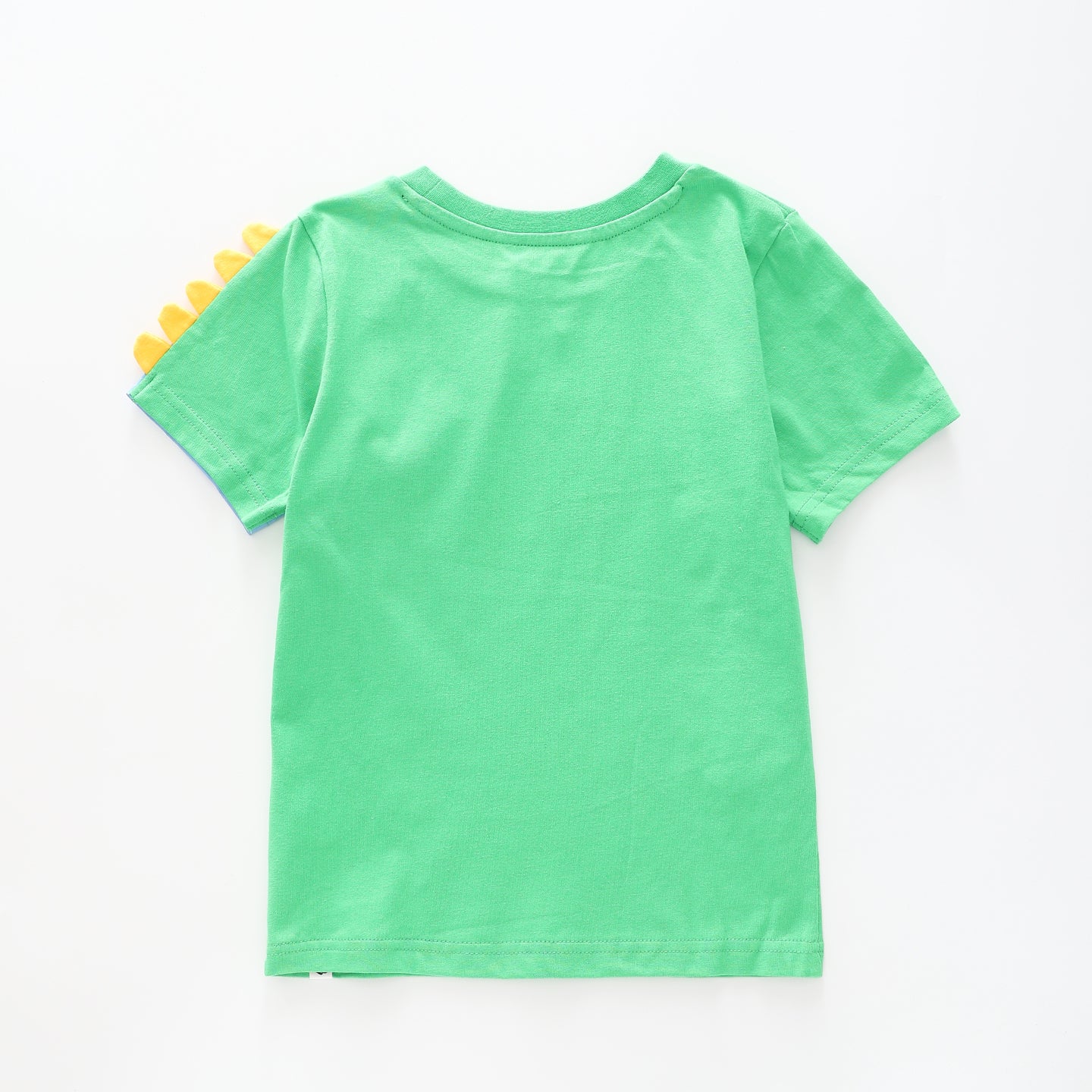 Boy's Green and Blue T-shirt With Dinosaur Print