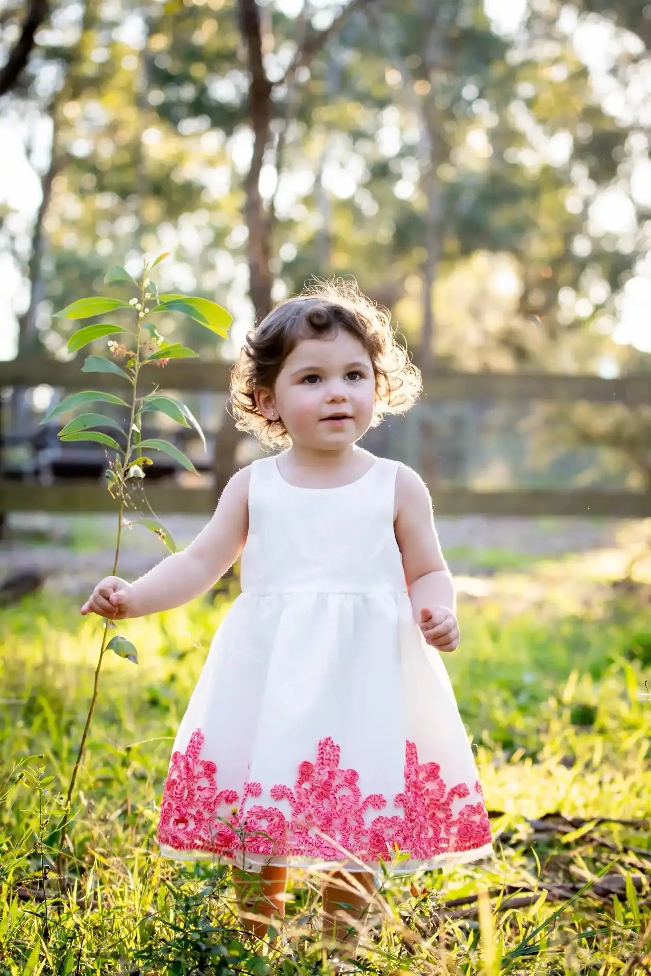Antique Ribbon Trim Dress Ollies Place