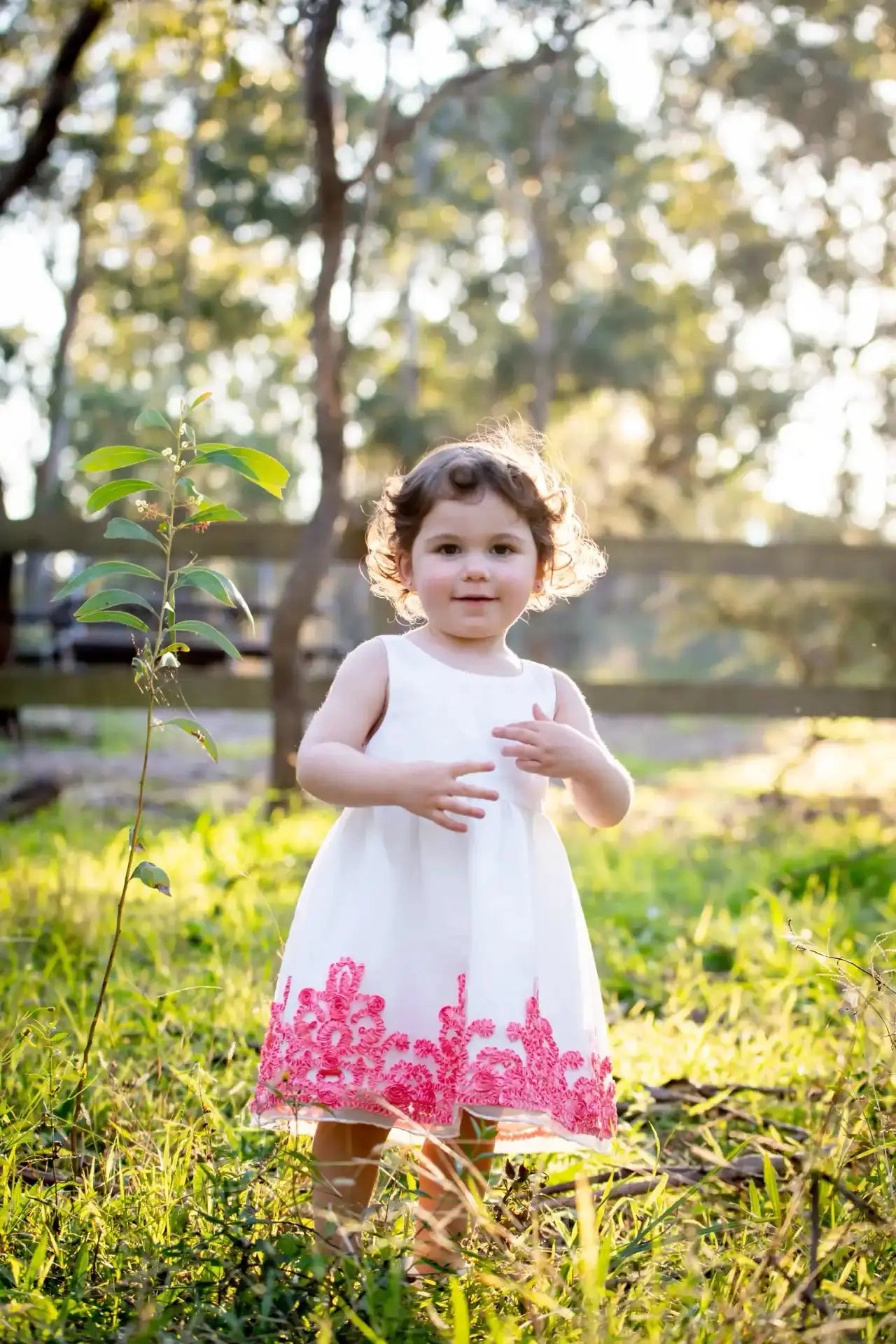 Antique Ribbon Trim Dress Ollies Place