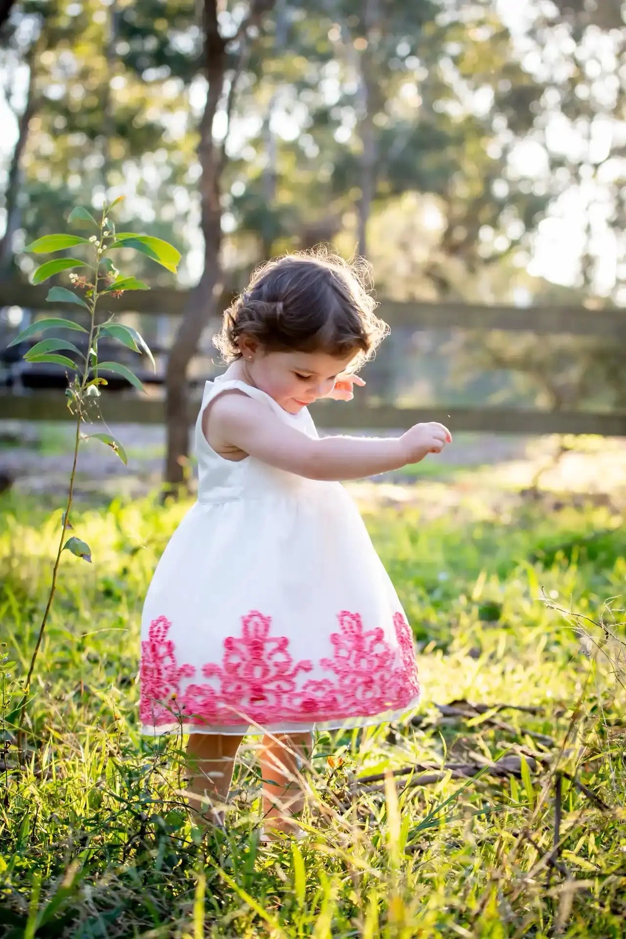 Antique Ribbon Trim Dress Ollies Place