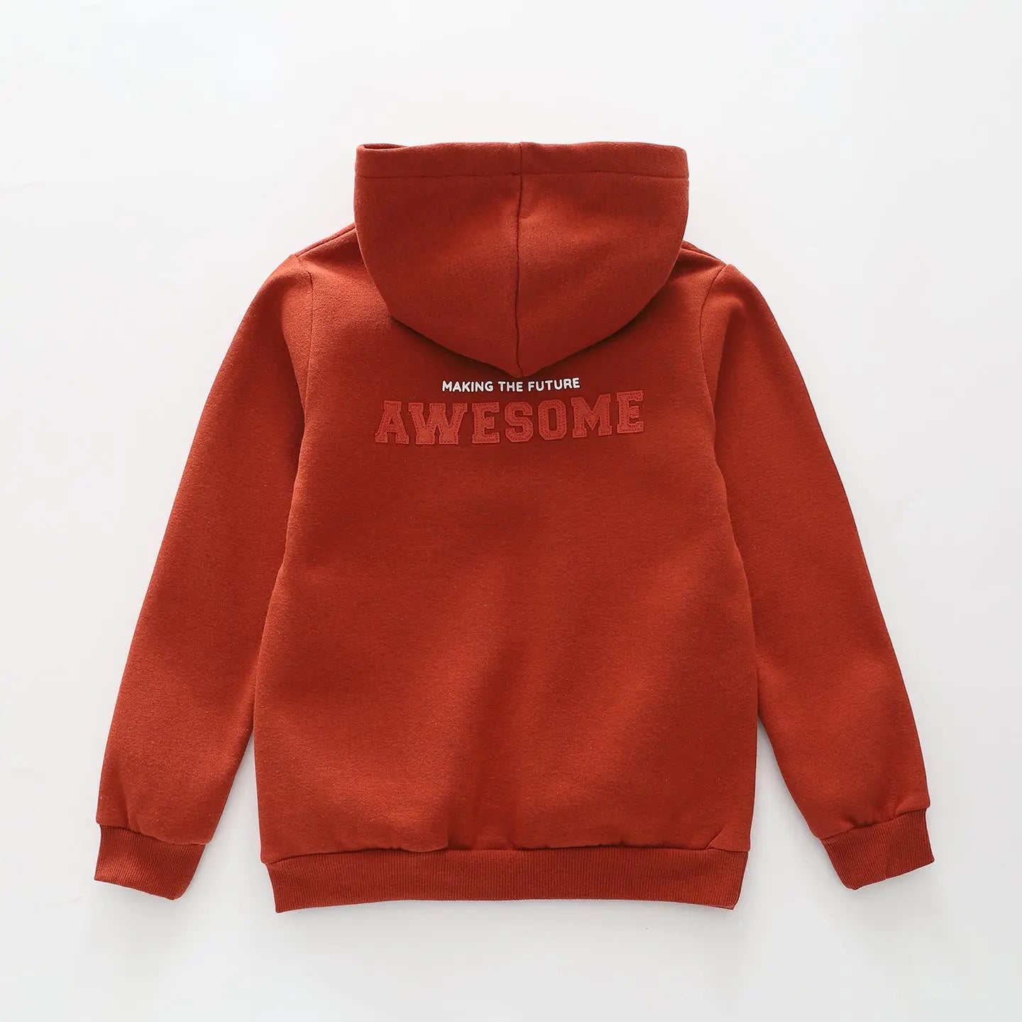 Awesome Rust Hoodie Ollies Place
