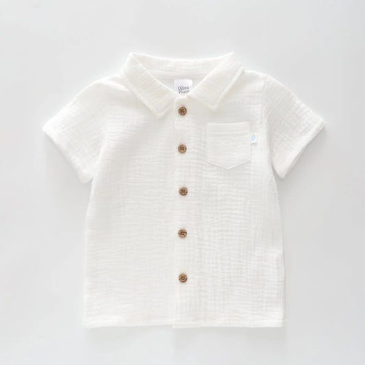 Baby Boys White Shirt Ollies Place