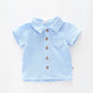 Baby Boys, Blue Cheesecloth Collared Shirt Ollies Place