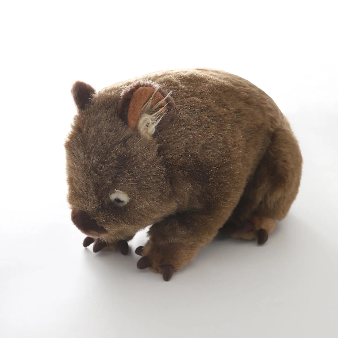 Banjo Wombat, Small Plush Toy Ollies Place