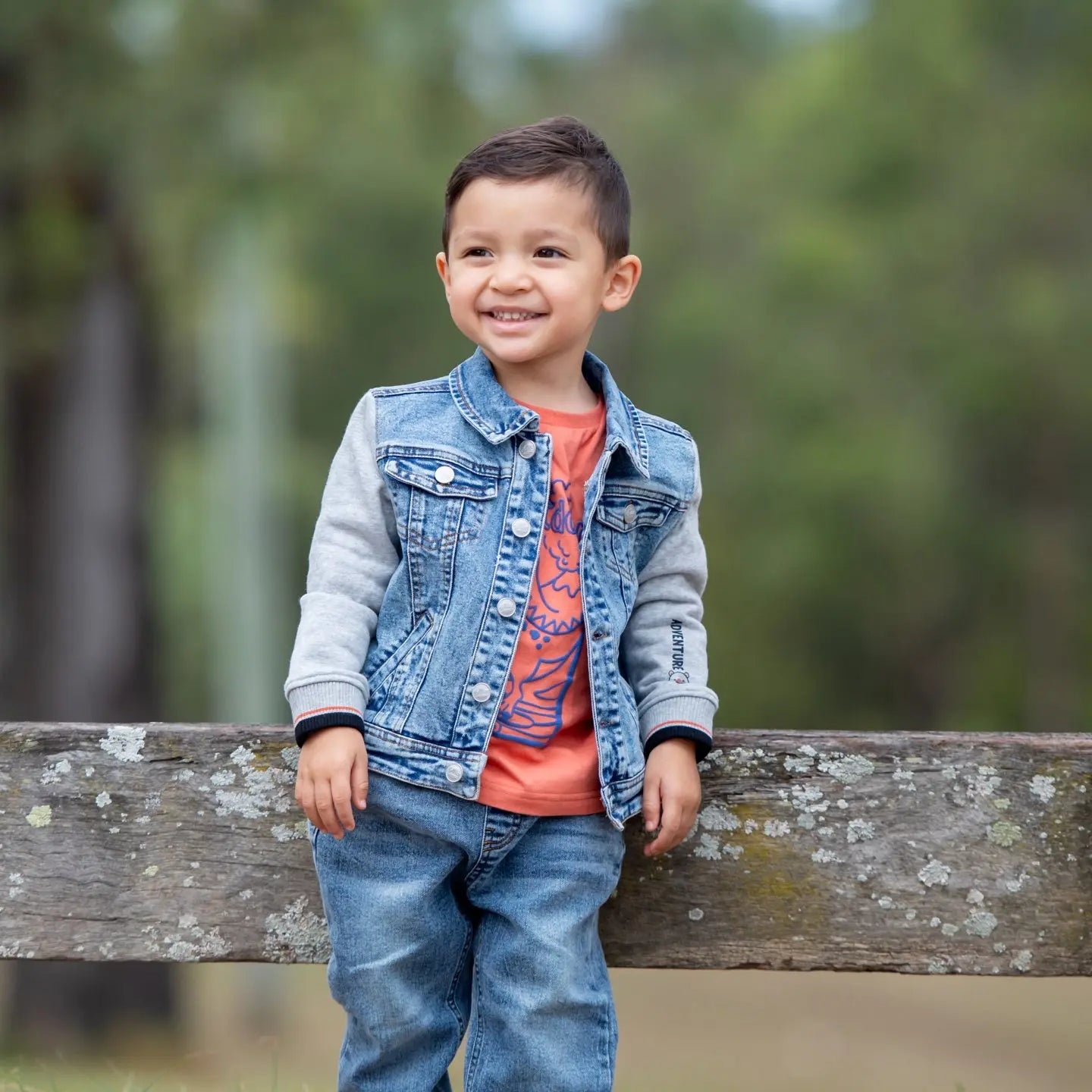 Bear Adventure Denim Jacket Ollies Place