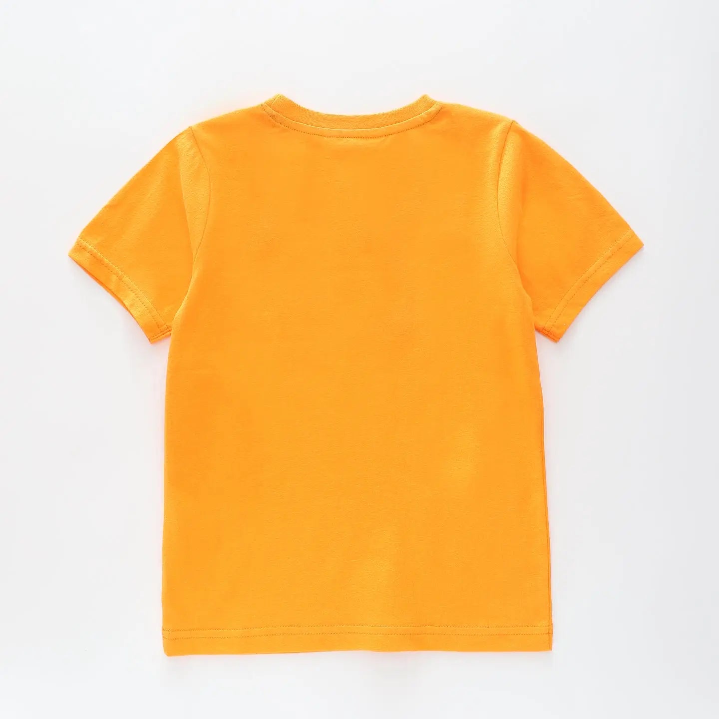Big Brother T-shirt Ollies Place