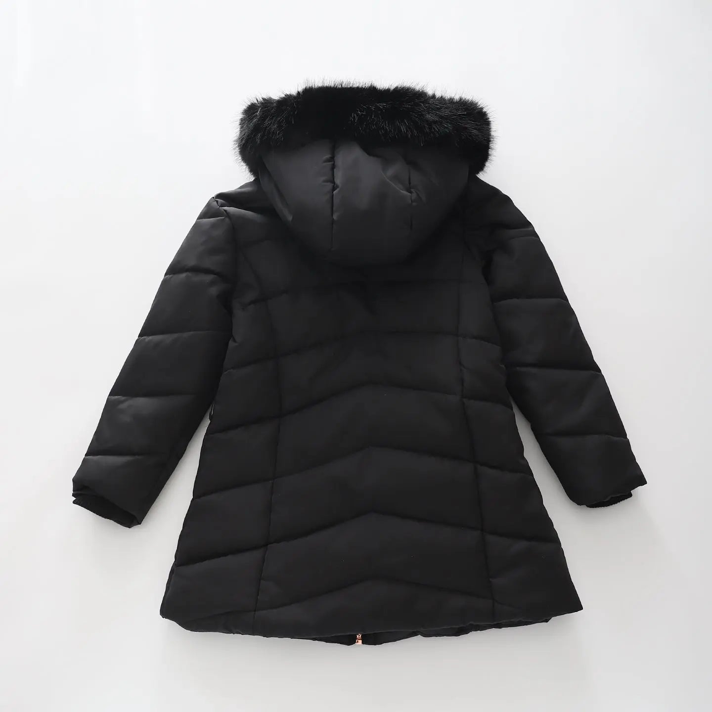 Black Belted Puffer Coat Ollies Place