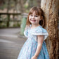 Blue Floral Dress Ollies Place