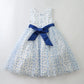 Blue Heart Print Tulle Dress Ollies Place