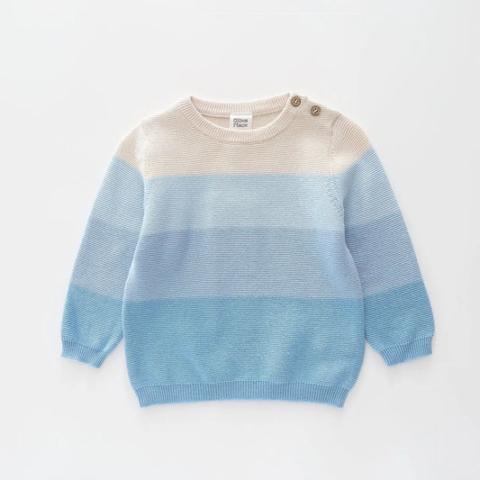 Blue Striped True Knit Jumper Ollies Place