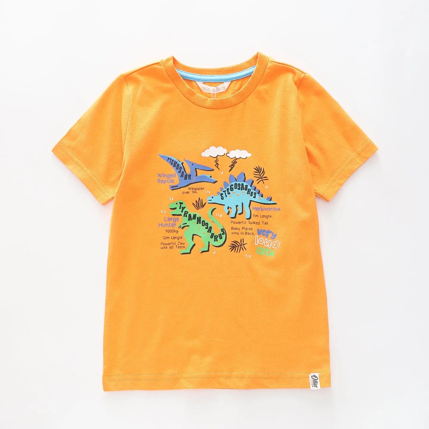 Boy's Orange T-shirt With  Dinosaur infographic Print Ollies Place