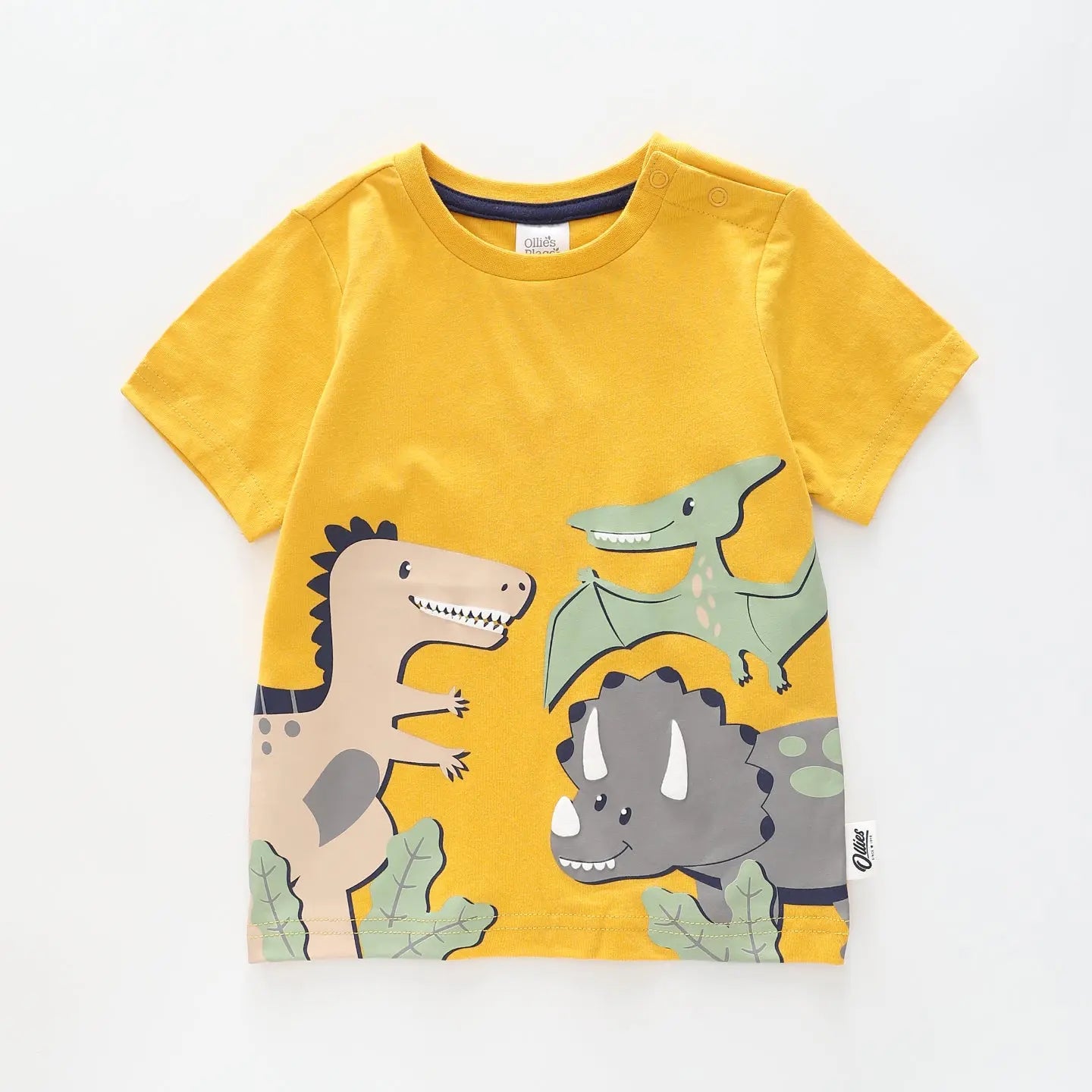 Boys Dino Graphic Print Tee Ollies Place