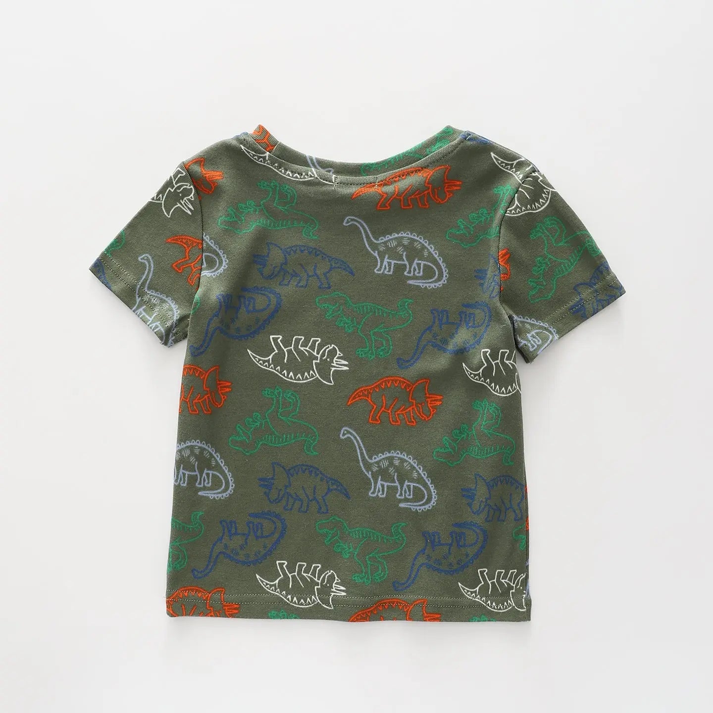 Boys Dinosaur Print Tee Ollies Place