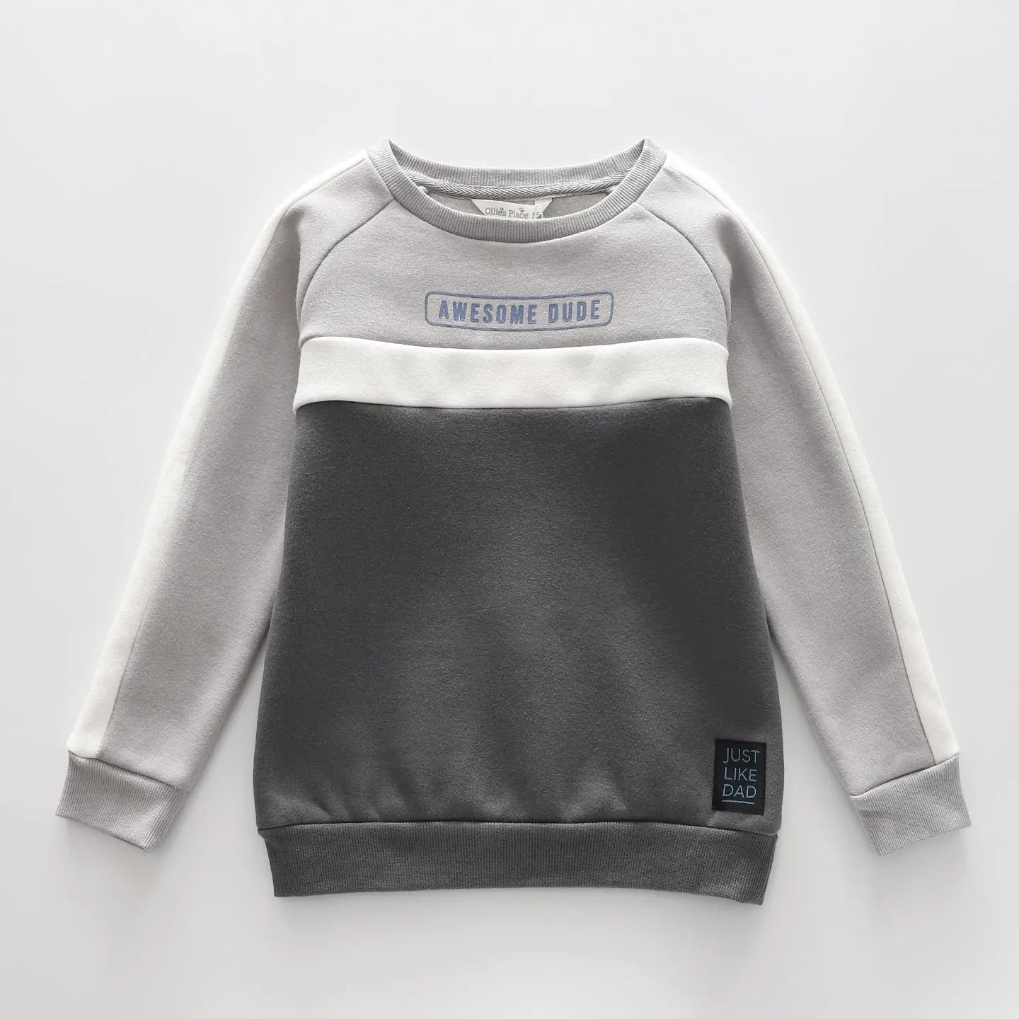 Boys' Awesome Dude Sweatshirt Ollies Place