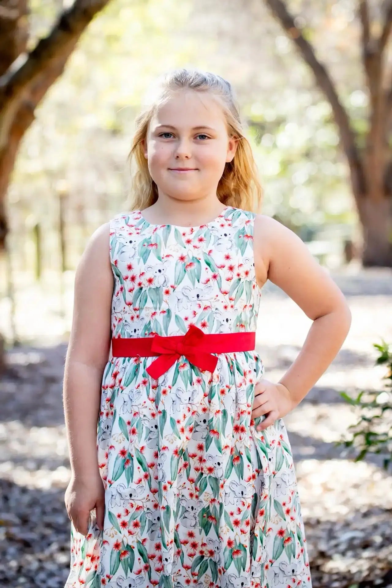 Christmas Koala Dress Ollies Place