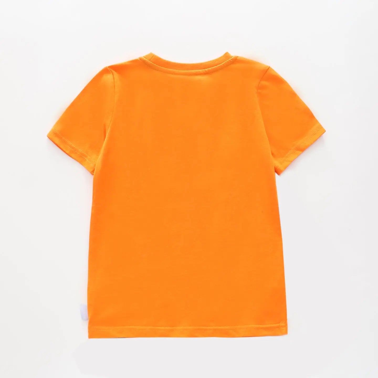 Cool Crocodile Tee Ollies Place