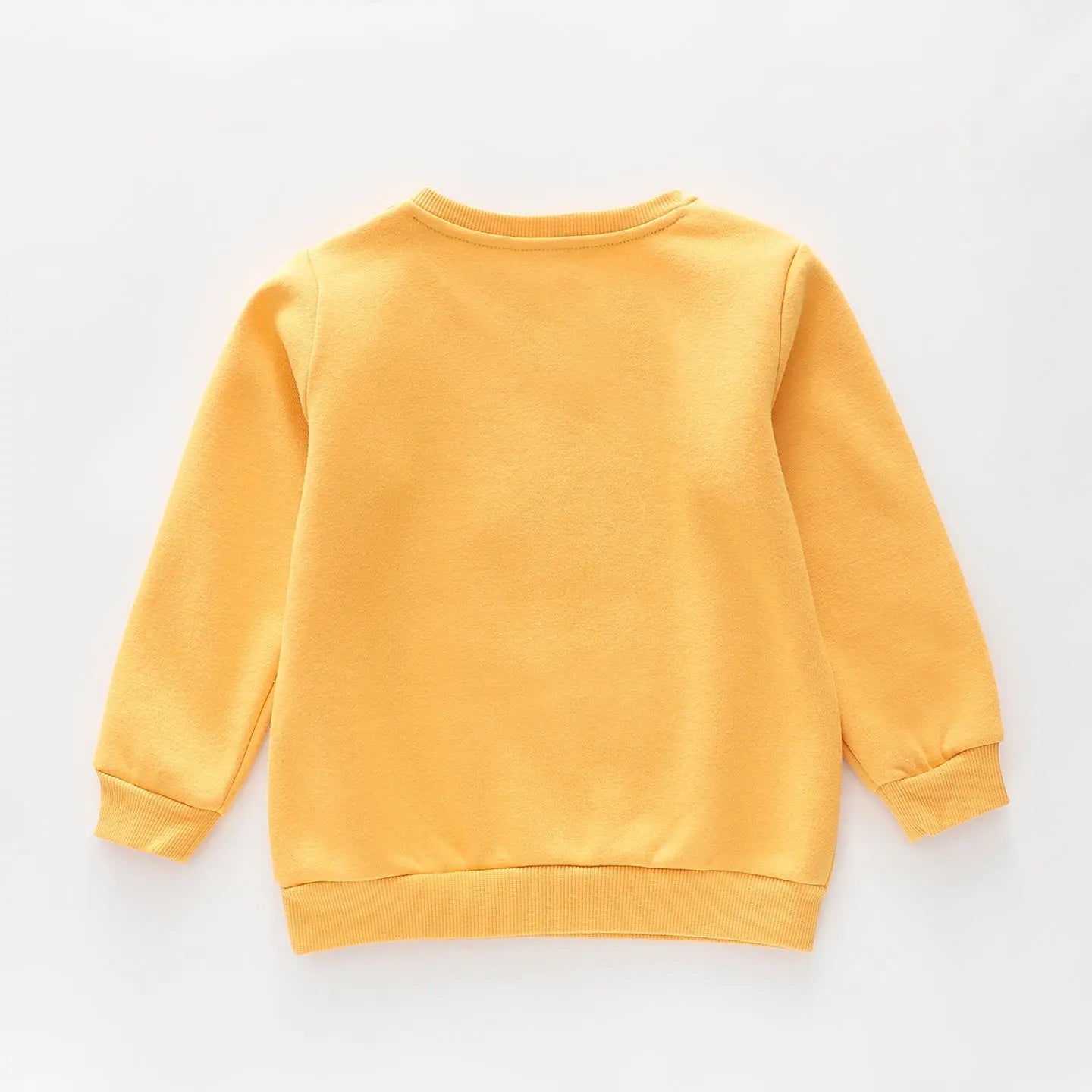 Cuddly Koala Sweatshirt Ollies Place