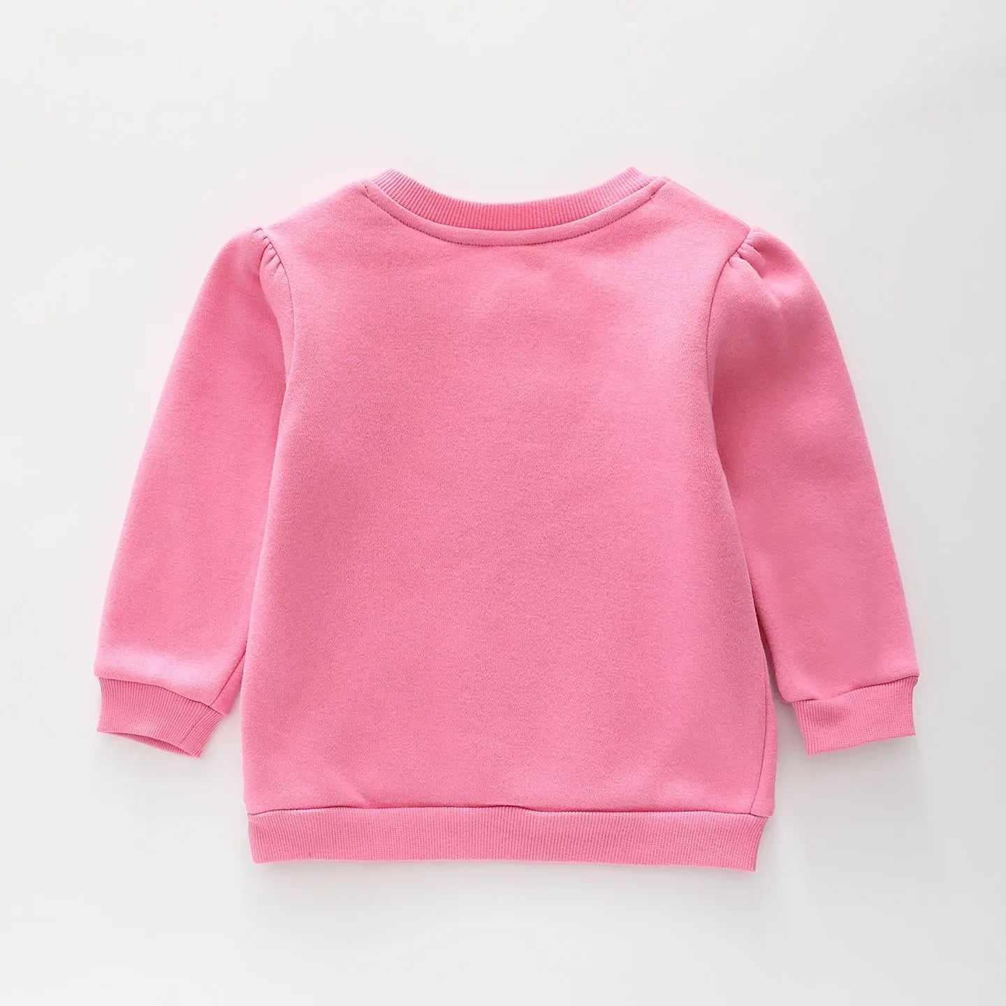 Dad's Little Apprentice Sweatshirt Ollies Place