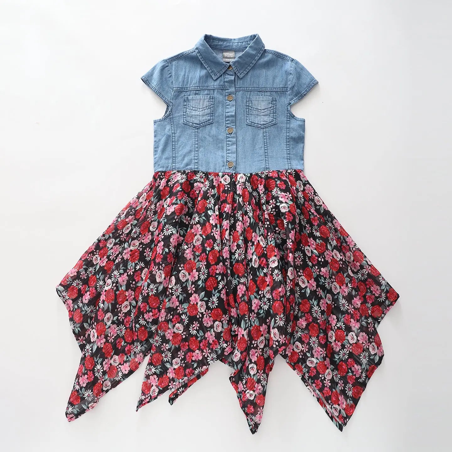 Denim and Rose Print Dress Ollies Place