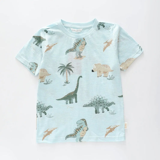 Dino Blues T-shirt Ollies Place
