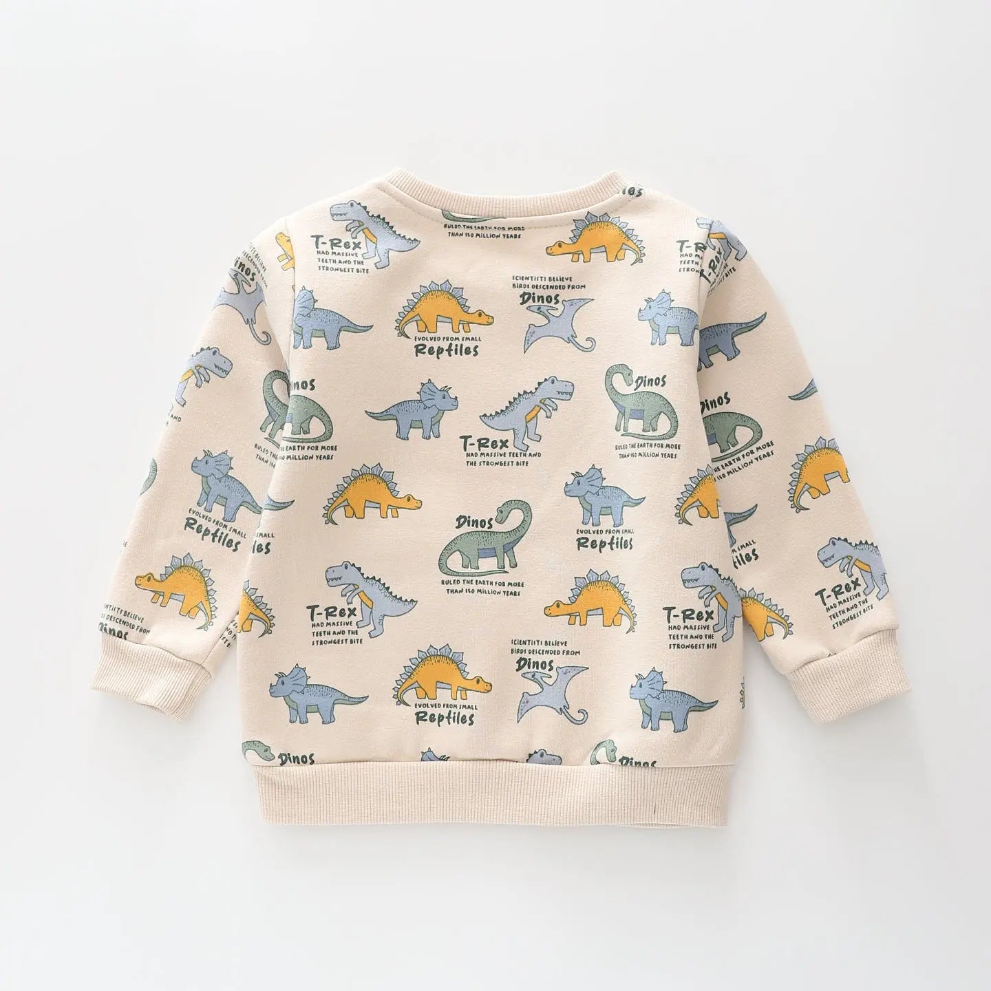 Dino Expert Sweat Top Ollies Place