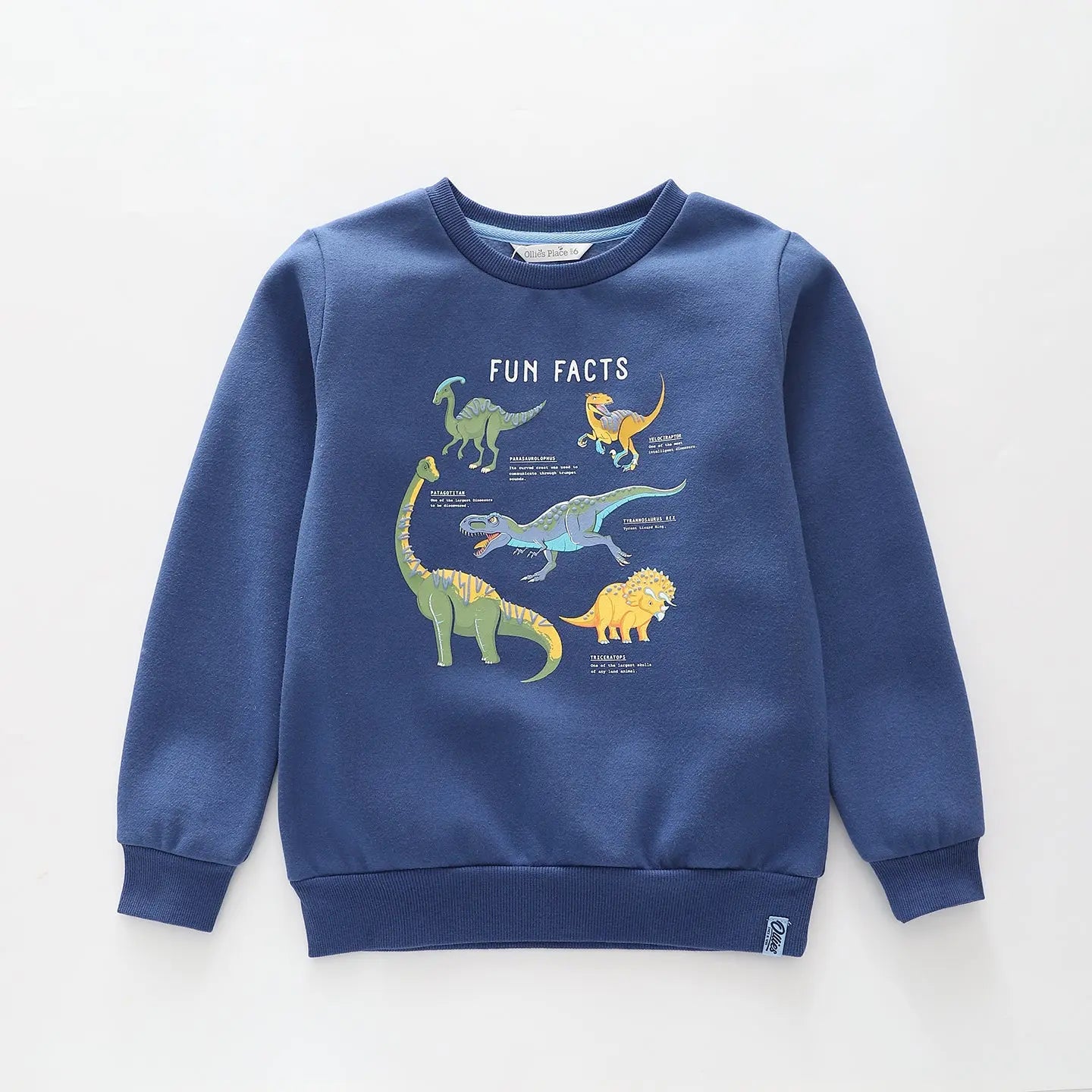 Dino Fun Facts Sweatshirt Ollies Place