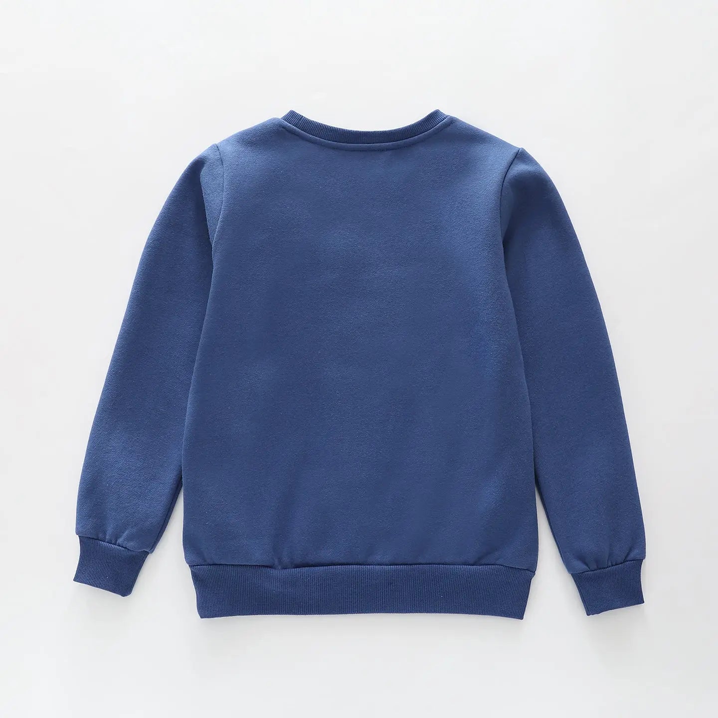 Dino Fun Facts Sweatshirt Ollies Place